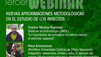 Instituto de Entomología invita a tercer webinar: "Nuevas aproximaciones metodológicas en el estudio de los insectos"